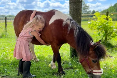 Twee ruiters trainen grondwerk en coördinatie met hun paarden in een buitenrijbaan omgeven door groen.