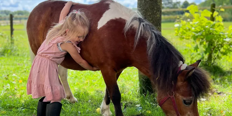 Twee ruiters trainen grondwerk en coördinatie met hun paarden in een buitenrijbaan omgeven door groen.