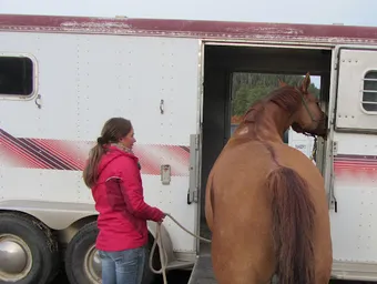 Een professionele demonstratie van het laden van een paard in een trailer met natural horsemanship technieken.