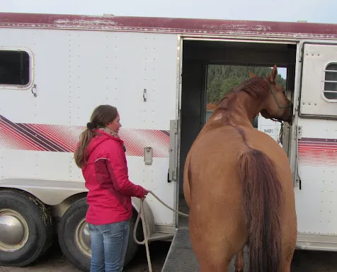 Een professionele demonstratie van het laden van een paard in een trailer met natural horsemanship technieken.